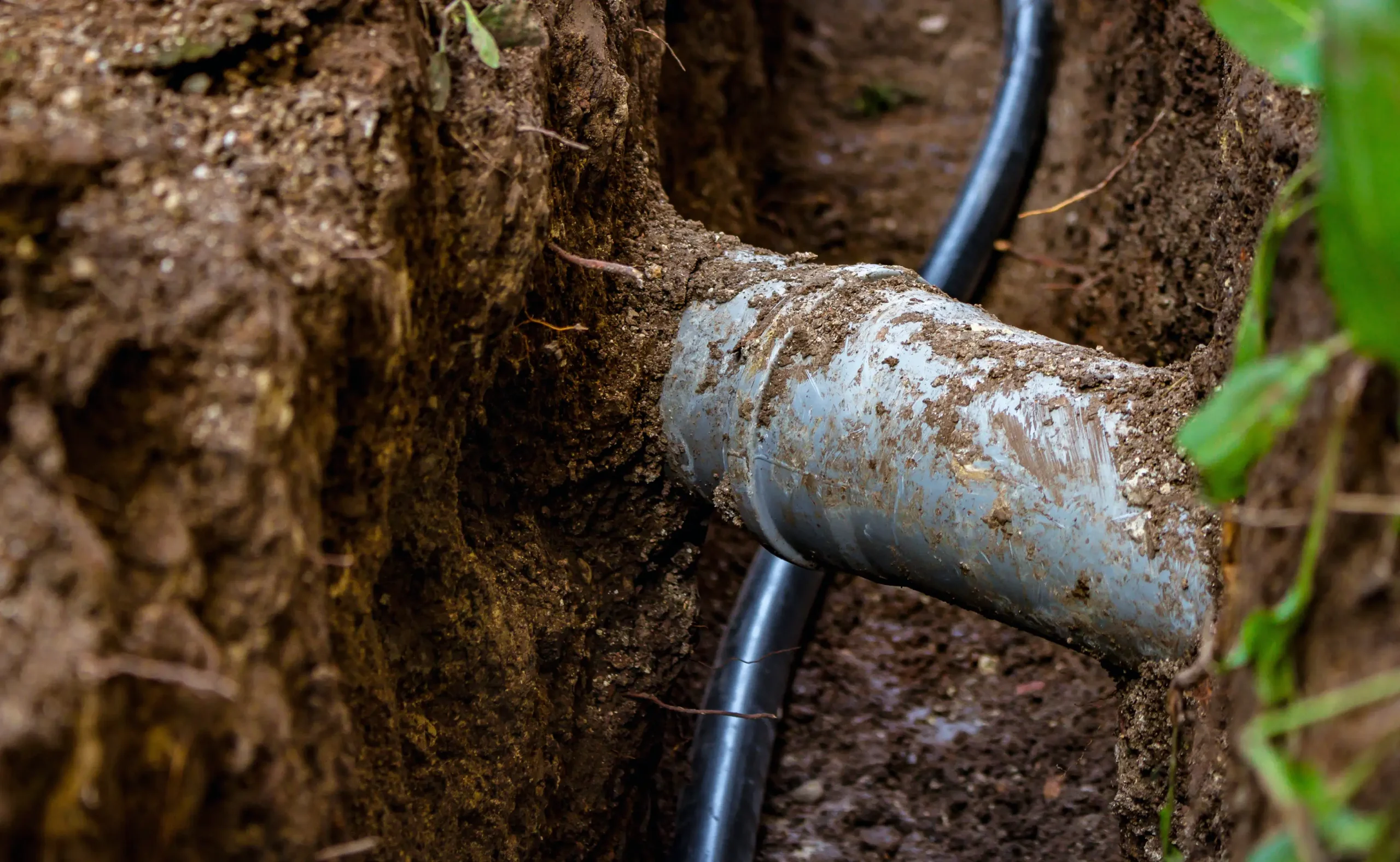 A close-up of a blue pipe partially buried in soil inside a trench, with a black cable running parallel to it and tree roots weaving through the earth nearby.